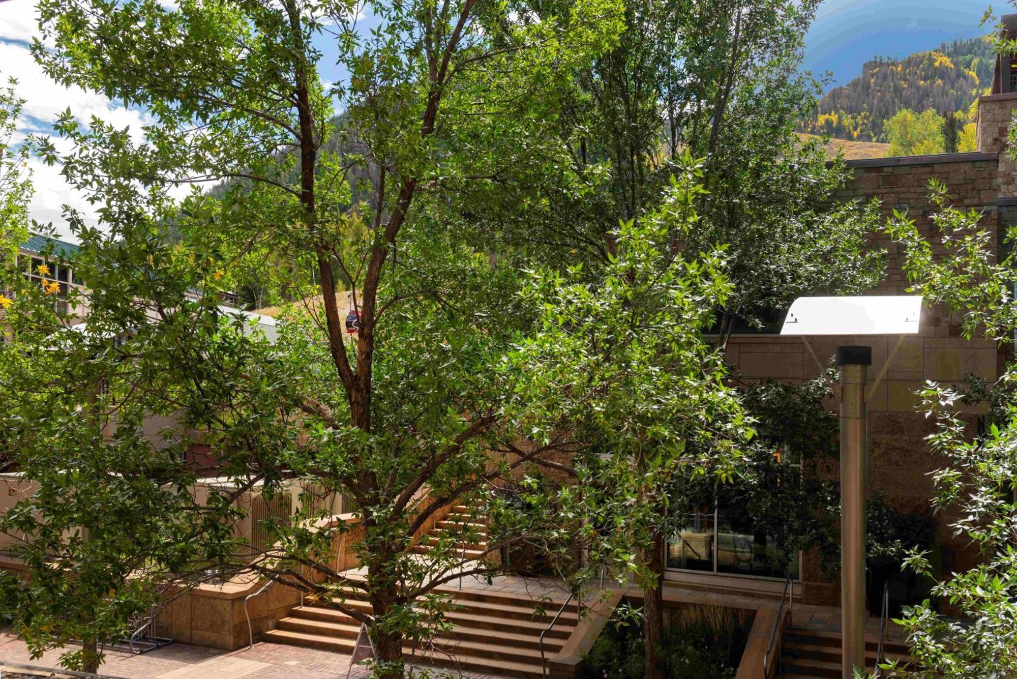 North Of Nell Unit 2D, 2-Bedroom Condo Steps From Aspen Mountain Exterior photo